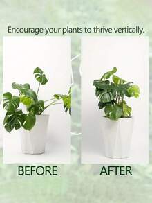 Enrejado de metal duradero con pinzas de bambú, sistema de soporte ideal para el crecimiento saludable de las plantas, estructura de jardín resistente y decorativa, diseño único para plantas trepadoras, pinzas de bambú con forma de caparazón de tortuga, estructura de soporte óptima para plantas, enrejado para plantas trepadoras, estabilizador de metal - Multicolor - Ver 9