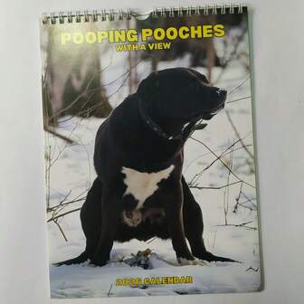 2026 Funny Dog Poop Calendar - Cute Puppy Theme Wall Decor, Great Gift For Dog Lovers, Daily Office Supplies