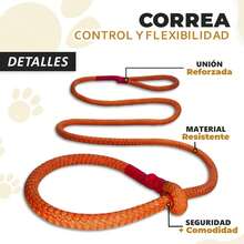 Retractable Leashes - Verde - View 6