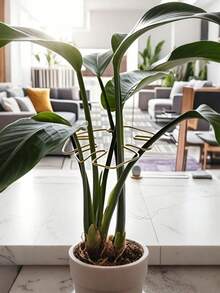 Enrejado de metal duradero con pinzas de bambú, sistema de soporte ideal para el crecimiento saludable de las plantas, estructura de jardín resistente y decorativa, diseño único para plantas trepadoras, pinzas de bambú con forma de caparazón de tortuga, estructura de soporte óptima para plantas, enrejado para plantas trepadoras, estabilizador de metal - Multicolor - Ver 6