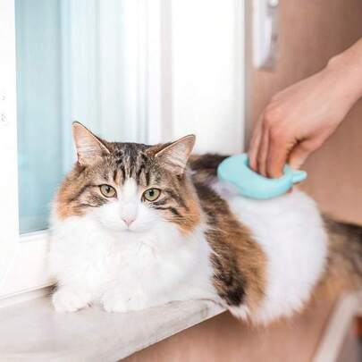 Hair Removal And Grooming Comb, Massage Shell - Shaped Soft Deshedding Tool For Detangling Matted Fur Of Long And Shor...