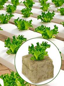 Stonewool Hydroponic Grow Cubes – Soilless Growing Media Plugs For Seedling Propagation, Sponge Blocks Substrate For Garden And Planting Use - Yellow - View 6