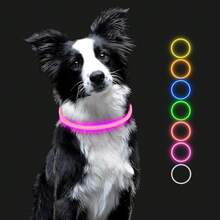 Pet Basic Dog Collars - Rose - View 8