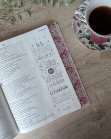 Biblia Inspira Ntv Letra Grande Con Filament Sentipiel Primaveral Imitación piel Texto grande biblia creativa moderna ilustrada de inspiración - Libro único - Ver 3