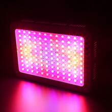 LED Grow Light para Plantas de Interior 120LED Vegetal y Bloom Interruptor Doble Planta Colgante Lámparas de Cultivo para plántulas Flores Invernadero - Tipo de Enchufe B USA (110-127V) - Ver 7