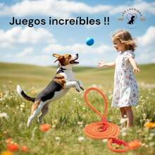 Retractable Leashes - Verde - View 9