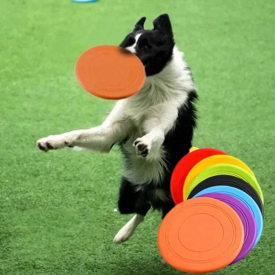 Pet Dog Flying Disk Toy Silicone Material Anti-Chew Dog Puppy Interactive Training Pet Supplies Dog Toy - Multicolor - View 1