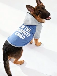 LUCKIE LABO 1 قطعة هودي من البوليستر مطبوع عليه شعار "أنا الطفل المفضل" بتصميم بسيط ومرقع، مقاوم للبراغيث، يقلل من تساقط الشعر، دافئ ومنفذ للهواء، مناسب للحيوانات الأليفة للاستخدام الداخلي والخارجي - الأزرق - مشاهدة 6