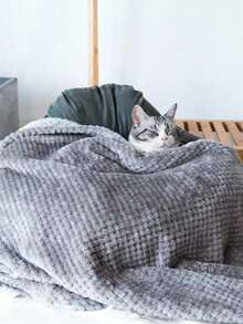 PETSIN 1 件珊瑚绒宠物毯，狗/猫柔软毛绒盖毯，空调被，轻便、透气、舒适，适合中小型犬和猫 - 彩色 - 查看 3