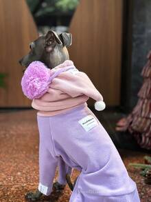 2pcs/Set Soft & Comfortable Double-Sided Fleece Pet Dog Clothes With Hat, Suitable For Italian Greyhound, Whippet, Autumn/Winter