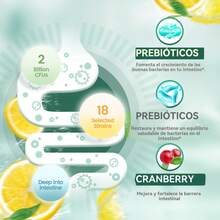 VivoNu Probiotics for Digestive Health Gummies, 3 in 1 Intestinal Digestion, Contains 2 Billion CFU Probiotic, Zinc, Magnesium and Vitamin D3, Men's Probiotics for Women, Zero Sugar Non GMO 60 Gummy - Paquete de 1 - Ver 3