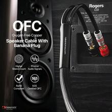 Excel Series 24k Gold Plated Banana Plug With 6 Feet Speaker Cable Wire 99.9% Oxygen-Free Copper (OFC) Heavy Duty Braided Black (12AWG/ 6ft/ 1.8m) - 6Feet18Metres - View 5