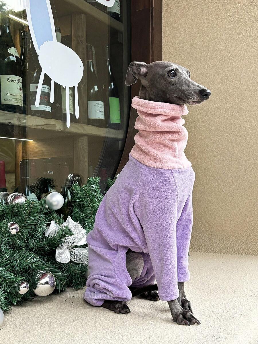 2pcs/Set Soft & Comfortable Double-Sided Fleece Pet Dog Clothes With Hat, Suitable For Italian Greyhound, Whippet, Autumn/Winter
