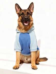 LUCKIE LABO 1 قطعة هودي من البوليستر مطبوع عليه شعار "أنا الطفل المفضل" بتصميم بسيط ومرقع، مقاوم للبراغيث، يقلل من تساقط الشعر، دافئ ومنفذ للهواء، مناسب للحيوانات الأليفة للاستخدام الداخلي والخارجي - الأزرق - مشاهدة 4