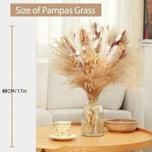 120支波西米亚风干花花束 - 适用于婚礼、农舍装饰、圣帕特里克节和复活节等场合（不含花瓶） 花束配件 花艺装饰 - 彩色 - 查看 4