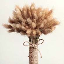 Cails de Conejito Hierba Natural de Flores secas Bouquet Pampas Vase de Planta Decoración de 50 Piezas(1)(default) - Multicolor - Ver 8