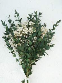 1 Bouquet White Baby's Breath Gypsophila - Preserved Long-Lasting Flowers, Freestanding, No Electricity Or Feathers Needed, Ideal For Wedding Invitations And Home Decor - Green Fine Leaves - View 5