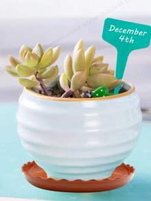 塑料圆形波浪形植物托盘，塑料植物托盘，耐用重型花卉植物盆栽滴水托盘容器，适用于家庭花园室内外植物托盘、陶土花盆和种植箱，确保植物根系健康，防止土壤侵蚀，并为植物提供稳定的生长环境，同时起到支撑植物和促进排水的作用（款式随机发货）。