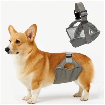 New Washable Male Dog Physiological Pants, Outdoor Dog Walking Anti-Harassment Anti-Pregnancy Sanitary Pants, Pet Supplies