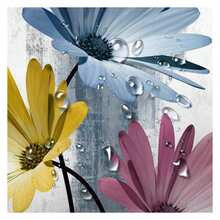 Rustic Farmhouse Shower Curtain, Farm Blue Daisy Floral Flowers And Butterfly On Country Wooden Shower Curtain For Bathroom, Turquoise Pink Yellow Bathroom Shower Curtains With 12PCS Hooks, 48X70IN - 多色549 - 查看 2