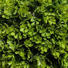 HOMCOM Artificial Plant, 90 Cm, Artificial Plant, Boxwood In Pot, Artificial Tree With UV Protection, Indoor Plant For Living Room, Light Green - 1 - View 7