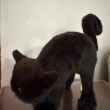 Halloween Party Supplies