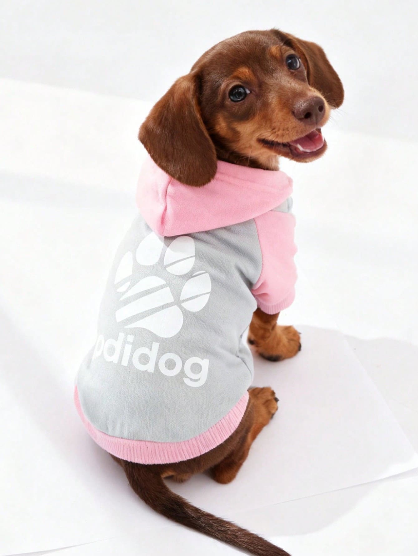 LUCKIE LABO 1pc Colorblock Paw Print Cat & Dog Polyester Hoodie, Anti-Flea, Reduce Shedding, Warm & Breathable, Suitable For Indoor & Outdoor Pets - Grey - View 1