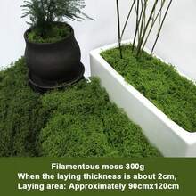100g/300g Artificial Natural Grass Turf, Artificial Moss Carpet, Suitable For Landscape Design, Plant Cultivation, Floral Window Sill Decor - Multicolor - View 6