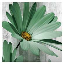 Rustic Farmhouse Shower Curtain, Farm Sage Green Daisy Floral Flowers And Butterfly On Country Wooden Shower Curtain For Bathroom, Turquoise Teal Gray Grey Shower Curtain With 12PCS Hooks, 36X70IN - 多色586 - 查看 3