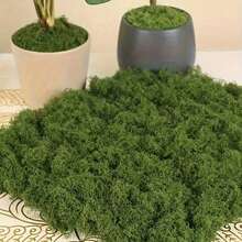 100g/300g Artificial Natural Grass Turf, Artificial Moss Carpet, Suitable For Landscape Design, Plant Cultivation, Floral Window Sill Decor - Multicolor - View 2