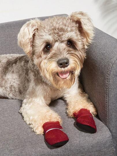 Shoes, Pet Casual Shoes, Breathable Mesh, Soft Bottom, Indoor Shoes For Teddy, Poodle