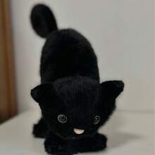 Halloween Party Supplies