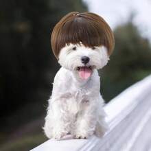 Divertidas pelucas marrones para perros pequeos, ajustables, recortables, perfectas para Halloween, fiestas, Navidad y festivales - Marrón - Ver 5