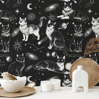 1 Roll Cute Cat Self-Adhesive Wallpaper, Peel And Stick, Black & White Gothic Cat With Cosmic Elements, Removable, Suitable For Living Room TV Background, Bedroom, Entryway, Vintage Home Decor, Cabinets, Shelves, Furniture Renovation, Renter-Friendly, DIY, Size: 17.32in*118.1/196.8/393.7in
