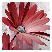 Rustic Farmhouse Shower Curtain, Farm Red Daisy Floral Flowers And Butterfly On Country Wooden Shower Curtain For Bathroom, Light Burgundy Gray Grey Shower Curtain With 12PCS Hooks, 36X70IN - 多色571 - 查看 4