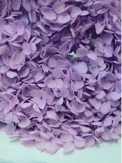100/200/500/1000pcs Multi-Color Dried Hydrangea Flowers - Ideal For DIY Crafts, Candles, Weddings, Handmade Projects, Christmas