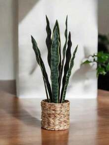 Cây lưỡi hổ nhân tạo, cây Sansevieria giả 17,7/21,2 inch, cây trồng trong chậu nhân tạo, cây nhựa nhiệt đới giả, dùng trong nhà và ngoài trời, trang trí nhà cửa, văn phòng, lá 3/4 (không có chậu), quà tặng ngày lễ tình nhân, trang trí nhà cửa, trang trí phòng học trở lại - Nhiều màu - Xem 11