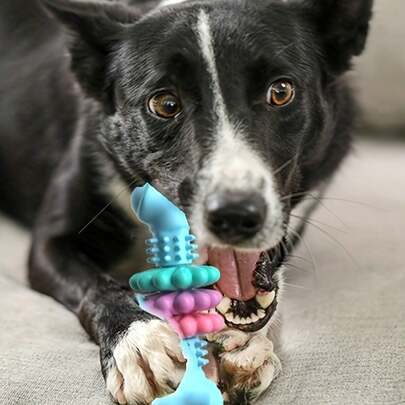 1pc Dog Toy TPR Bone Type Multi Meat Piece, Super Durable Dog Grinding Bone Toy, Suitable For Aggressive Chewers - Durable Thermoplastic Rubber With Geometric Patterns, Cleaning Teeth And Training Chewing Toys, Bite Resistant Grinding Toy Set, Suitable For Aggressive Chewers - Durable Thermoplastic Rubber With Geometric Patterns, Cleaning Teeth And Training Chewing Toys,