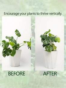 1pc Plant Stem Support - Durable Monstera Deliciosa Stabilizing Hook Metal Fixture, Metal Climbing Plant Trainer, Unique Design For Climbing, Monstera Leaf Clip Set, Ideal Support Tool For Healthy Plant Growth In The Garden - Multicolor - View 7