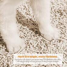 Cat Litter - Beige - View 5