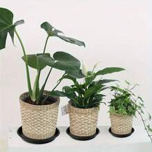 6 đĩa nhựa đen đựng cây, khay trồng cây tròn chịu lực 6-12in/16-30cm, đĩa đựng hoa trong nhà, bát tắm chim, phụ kiện cây trồng trong chậu - màu đen - Xem 7