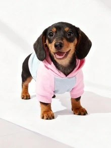 LUCKIE LABO 1pc Colorblock Paw Print Cat & Dog Polyester Hoodie, Anti-Flea, Reduce Shedding, Warm & Breathable, Suitable For Indoor & Outdoor Pets - Grey - View 5