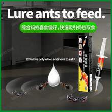 Ant Killer Bait Kill Colonies Fast Safety Professional Trap Ant Gel Bait Pest Control Household Bait Trap Ant Repellant For Home - 1pcs - View 4