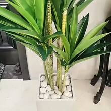 100g/200g/500g White River Stone And Polished Pebbles, Natural Decorative Stones For Indoor Plants, Aquarium, Garden Landscape, Vase Filler, DIY Crafts, Home Decor, Indoor/Outdoor Use - Multicolor - View 5