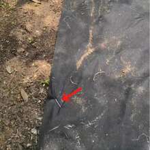 50pcs/100pcs Galvanized Garden Landscape Pin, U-Shaped Lawn Fabric Landscape Pin For Safety Garden Flower Plants Supplies, Garden Balcony Planting Supplies, Planters & Container Accessories