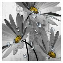 Rustic Farmhouse Shower Curtain, Farm Gray Grey Daisy Floral Flowers And Butterfly On Country Wooden Shower Curtain For Bathroom, Gray White Yellow Shower Curtain With 12PCS Hooks, 47X64IN - 多色557 - 查看 4