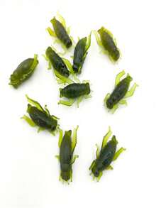 60个深绿色硅胶蟋蟀软饵，仿生拟饵，适用于鲈鱼、黑鲈，钓鱼配件