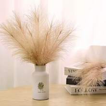 Pampas Grass Stem Kit With Artificial Feathers And Branches, 55cm - 米色 - 查看 7