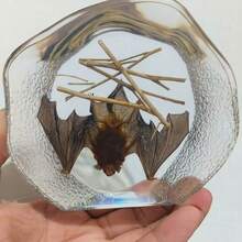 1pc Premium Crystal Bat Model, Giant Bat Teaching Specimen Bookend Novelty Gift Student Educational Tool Resin Craft, Transparent Natural Insect Spider Specimen, Rare Giant Insect Spider Bat From Primeval Forest, High-End Crystal Decor Ornament, Best Crystal Craft Gift For Meetings, Events, Parties - Multicolor - View 15