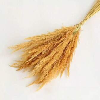 20/40pcs Fluffy Golden Rattan Decor - Natural Golden Pampas Grass, Suitable For Floor Vases, Vintage Style Home Decor, For Wedding Boho Flower Home Table Decor, Bookshelf Decor, Farmhouse Decor Boho Flower Home Table Decor - Suitable For Teen Parties, Weddings, Parties, Farmhouses, Garden Decor, Party Decor, Farmhouse Aesthetics, Dried Flower Bouquets, Seasonal Decor, Holiday Shoppers, Event Planners